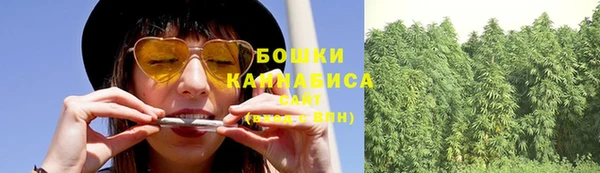 дживик Сосновый Бор