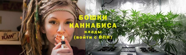 амф Сосновоборск