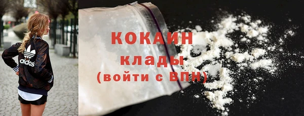 дживик Сосновый Бор