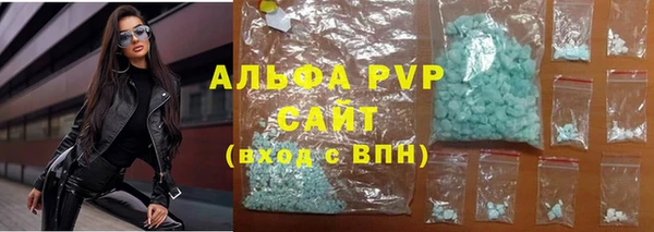 дживик Сосновый Бор